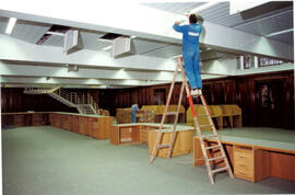 Workman working up ladder.