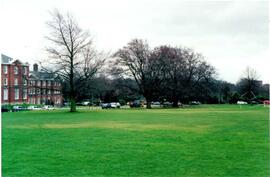 Trees at a distance. Photograph.