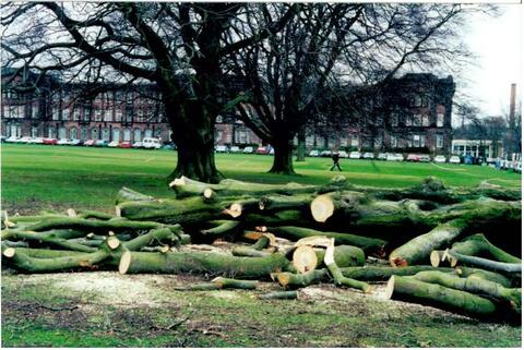 Original Digital object not accessible