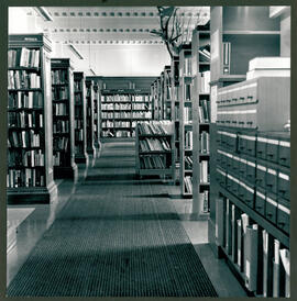 Library shelves and card catalogue.