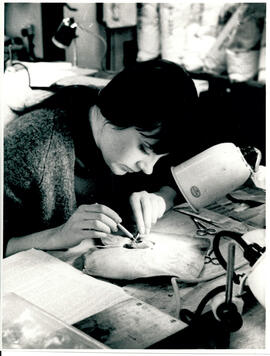 Dissecting fish, scalpel, scissors and lamp.