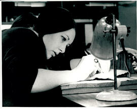 Dissecting fish under lamp, close up.